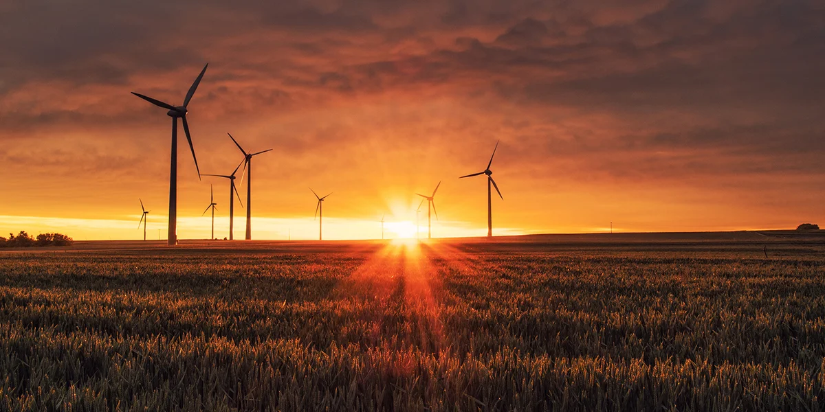 Bierdener Biergerinitiativ bedauert, datt een den "Schwaarze Péiter" krut | © Karsten Würth / Unsplash