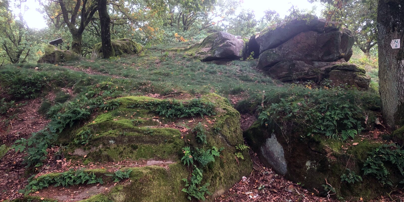 Gallo-réimesche Steebroch | © Joé Birchen