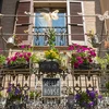 Eng gréng Terrass oder Balcon, déi och Insekte-frëndlech ass