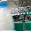 Lëtzebuerger Mëllechbauere schloen Alarm: D'Produktioun kascht méi wéi si erakréien | © Bigstock / Nikodim