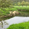 Europäesch Etude suergt fir Opreegung