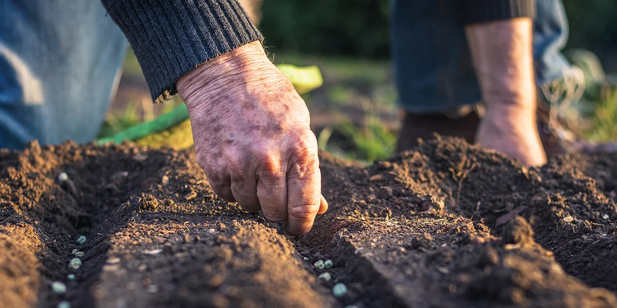 Bauer | © Adobe Stock