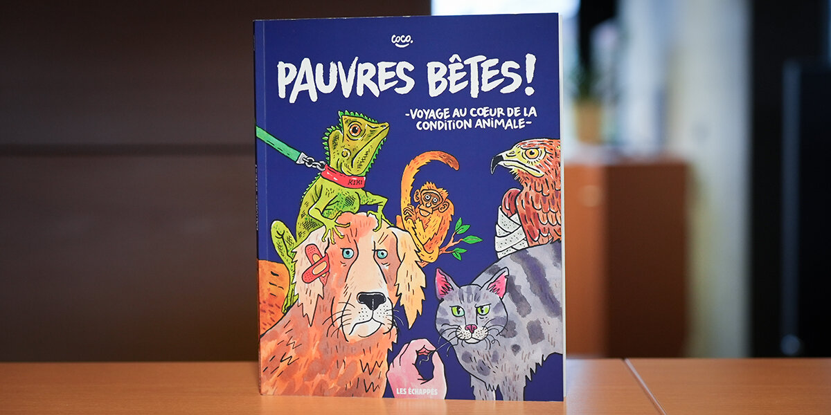 Pauvres bêtes! - Voyage au coeur de la condition animale