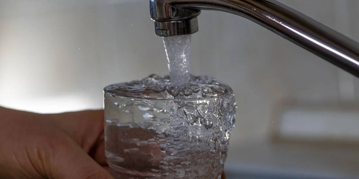 © picture alliance / M.i.S. | Bernd Feil / M.i.S.