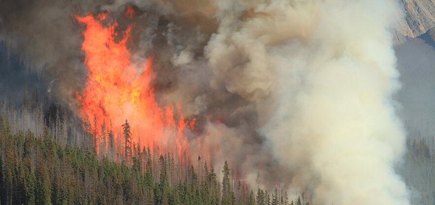 Bëschbrand a Kanada | © picture alliance / Will Schmidt/Shotshop