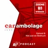 S02E08: Net just ee Bedruch