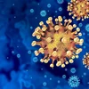 Wéi geféierlech ass deen neie Camp-Hill-Virus? | © Bigstock