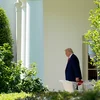 Den Donald Trump baussent dem Wäissen Haus | © picture alliance / Consolidated News Photos | Yuri Gripas - Pool via CNP 100 Deeg Donald Trump: Ee verfassungsrechtleche Bilan | © picture alliance / Consolidated News Photos | Yuri Gripas - Pool via CNP