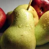 © Bgistock / 1hamdan A pear a day keeps the doctor away? | © Bgistock / 1hamdan