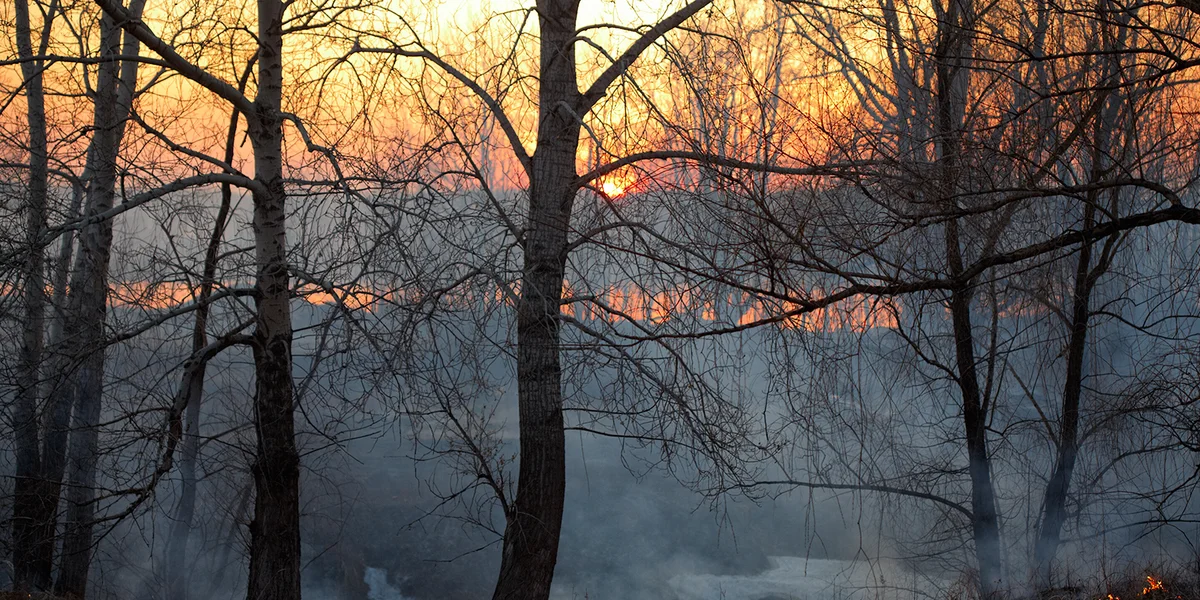 © picture alliance / Zoonar | Serg Zastavkin