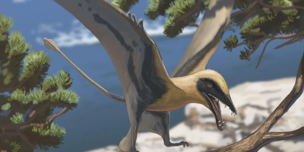 © Joschua Knüppe/Dinosaurierpark Teufelsschlucht