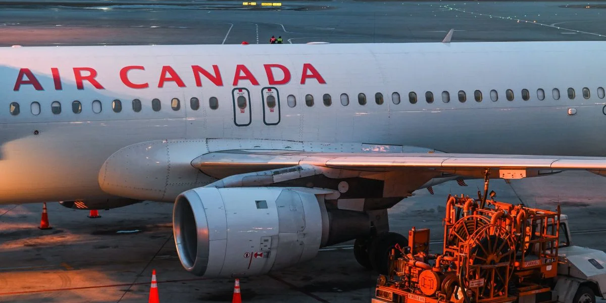 © picture alliance / NurPhoto | Artur Widak