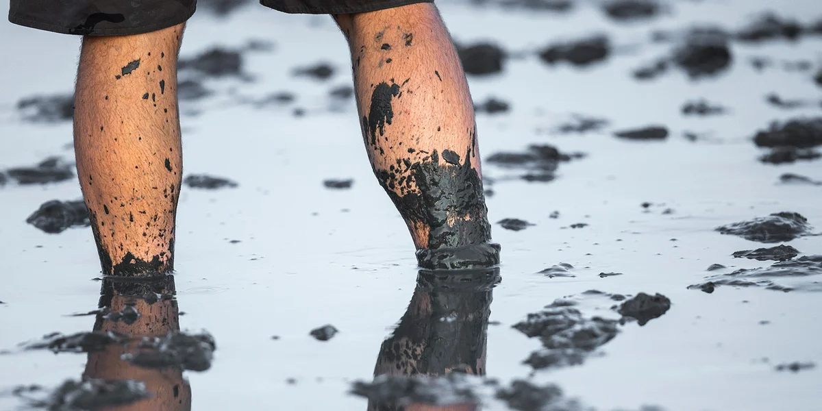 © picture alliance / pressefoto Mika Volkmann | Mika Volkmann