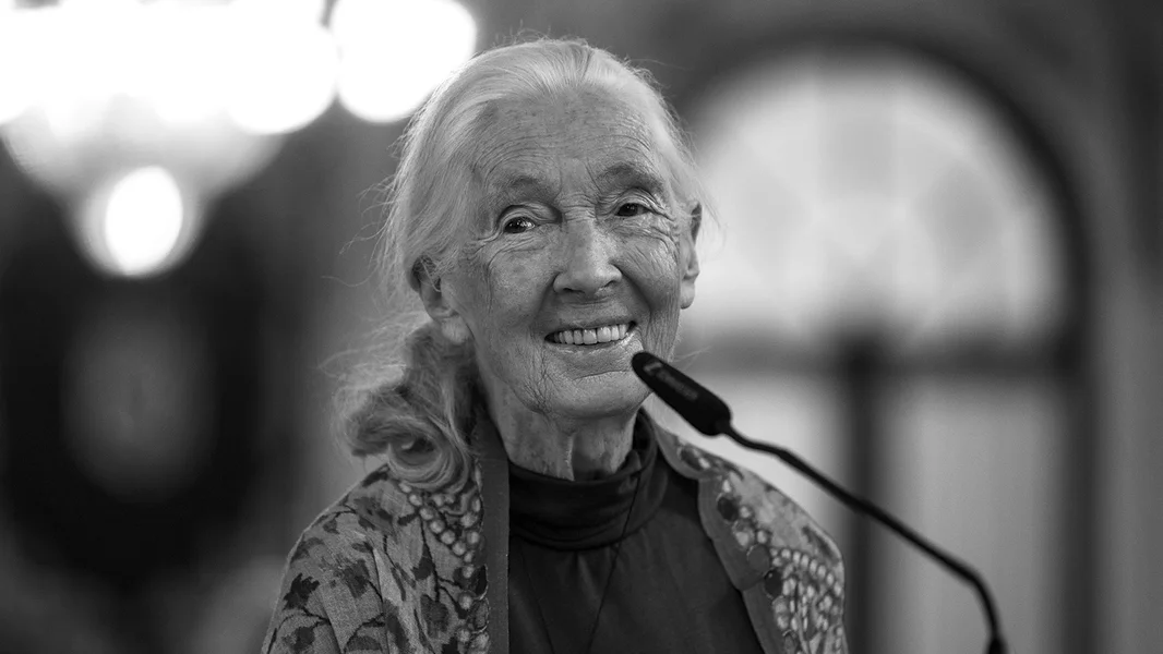 Dr. Jane Goodall bei der Konferenz “Hope in action” zu Malaga, Spuenien am Mee 2025 | © EPA/JORGE ZAPATA