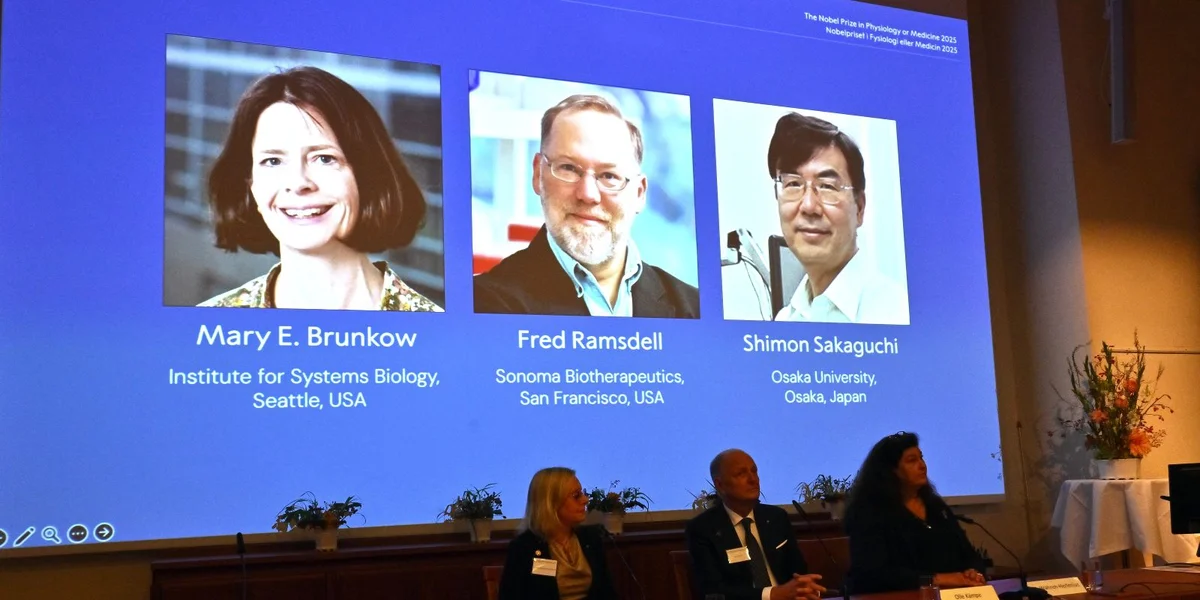 Nobelpräis Medezin: Dräi Immunfuerscher:inne ginn ausgezeechent | © EPA / Claudio Bresciani / TT