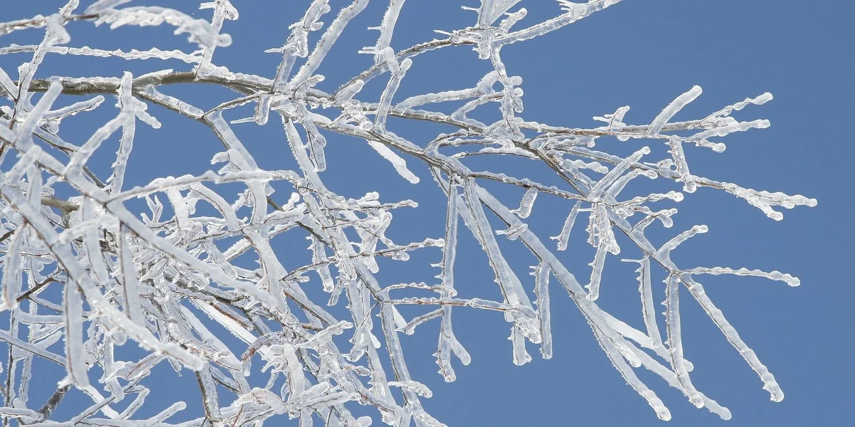 Giel Wiederwarnung tëscht 3 an 10 Auer: MeteoLux warnt virun Äisreen | © Bigstock