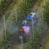 Vott vun ëmstriddenem Gesetz duerch dat verbuede Pestiziden nees sollen erlaabt ginn | © picture alliance / blickwinkel/M. Henning | M. Henning
