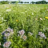 Den Impakt vum Klimawandel op d’Planzebiodiversitéit