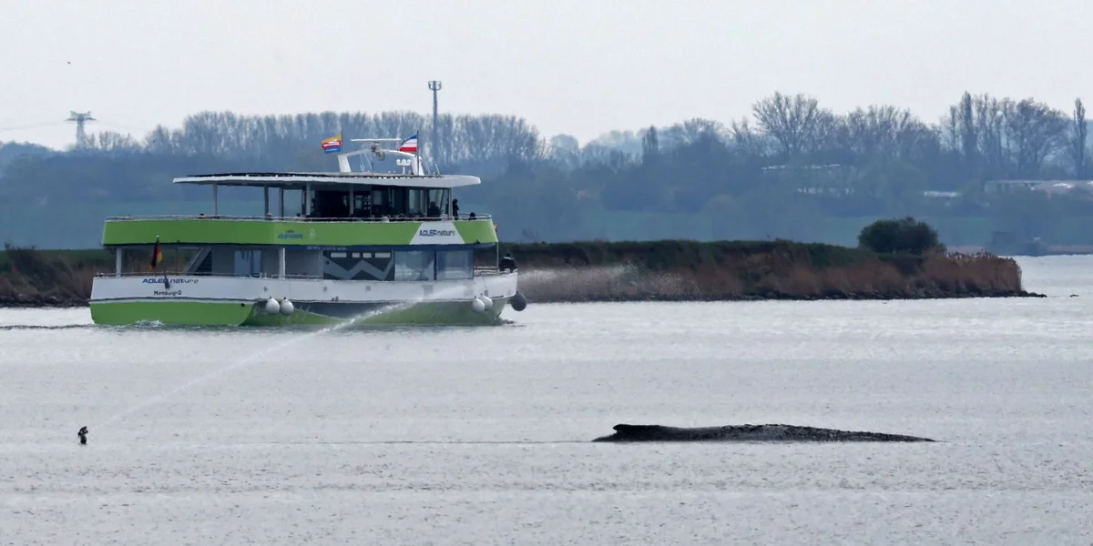 © picture alliance/dpa | Bernd Wüstneck