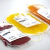 Majoritéit verwërft LSAP-Gesetzespropos vu Congé fir Blutt spenden ze goen | © Croix-Rouge luxembourgeoise