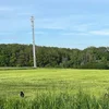 Sträit ëm e 5G-Potto zu Haler an der Gemeng Waldbëlleg | © Eric Ewald