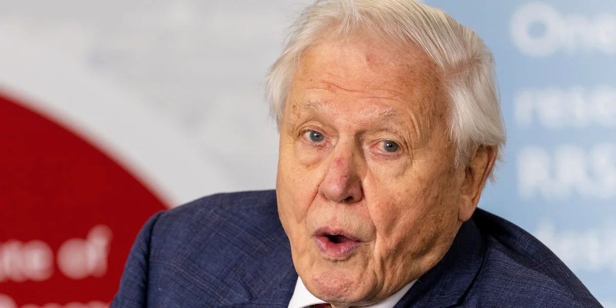 David Attenborough: iwwer 70 Joer erfollegräichen Naturfilmrealisateur | © EPA/VICKIE FLORES