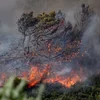 Drëtt Canicule a Frankräich: 72 Departementer ënner orange Hëtztwarnung | © EPA/CHLOE REULET