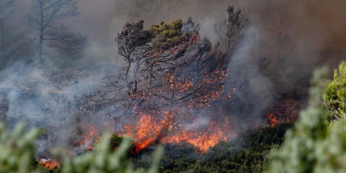 Drëtt Canicule a Frankräich: 72 Departementer ënner orange Hëtztwarnung | © EPA/CHLOE REULET