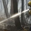 Bëschbrand a Südspuenie fuerdert op d'mannst eng Dosen Doudesaffer | © EPA/Quique Garcia