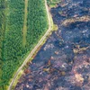Situatioun am Héije Venn | © picture alliance/dpa | Christoph Reichwein