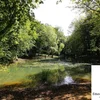 Den Naturschutzzentrum Ellergronn