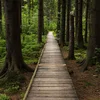 Mir ginn eraus mat der Naturverwaltung | © Bigstock / romansl