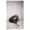 Julia Holter - Materia | © Bandcamp