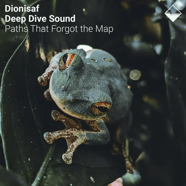 Holding the Dark Together