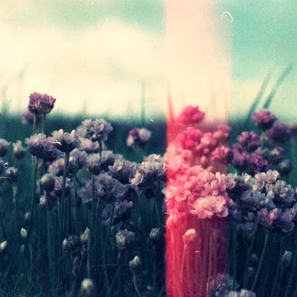 Collapsed Under Your Lies