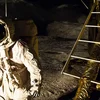 No 54 Joer sollten erëm Astronauten Richtung Mound starten | © tepic