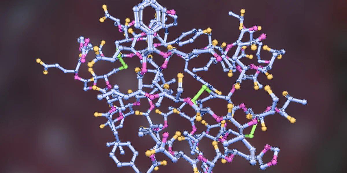 Eng Woch laang faaschten - Physik am Kierper | © Dr_Microbe
