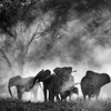 Elefantastesch | © The Roots Production Service