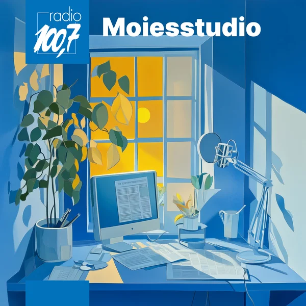 Moiesstudio