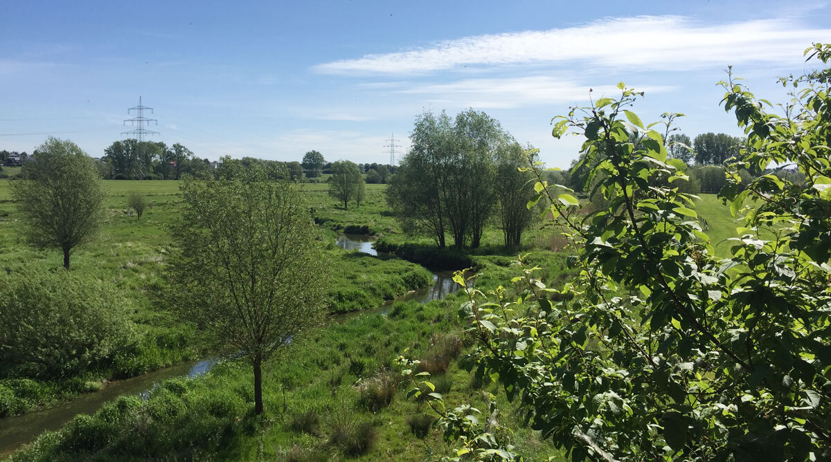 Eng Faarf, déi eng wichteg Roll an der Natur spillt